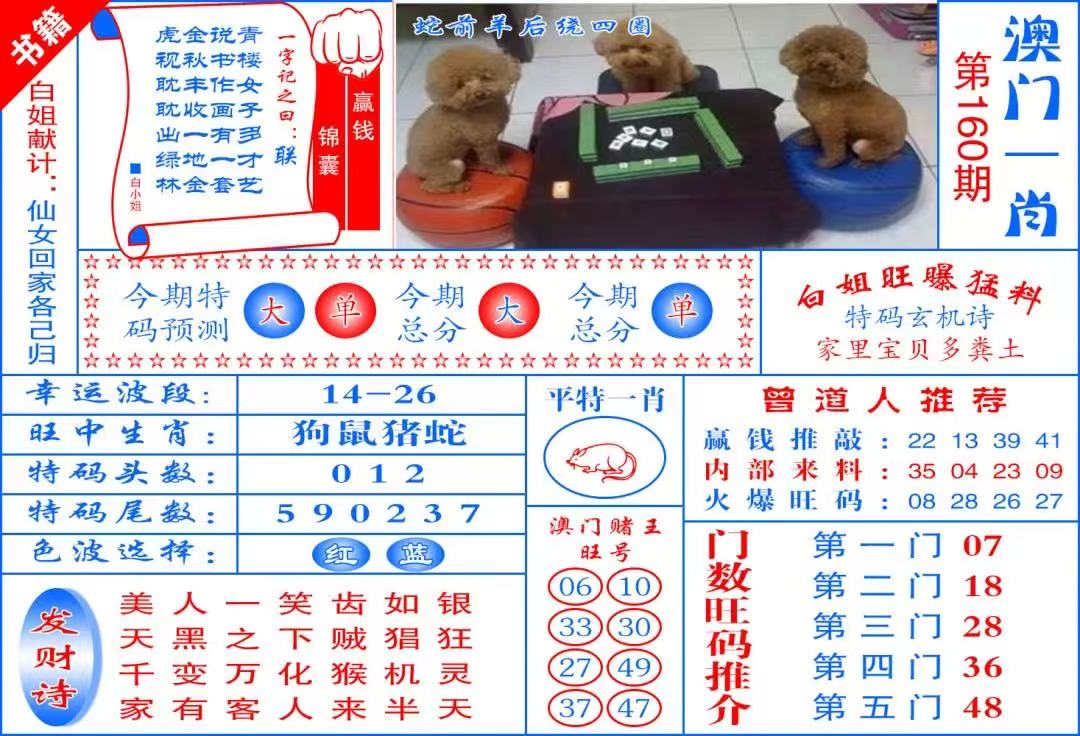 跑狗……