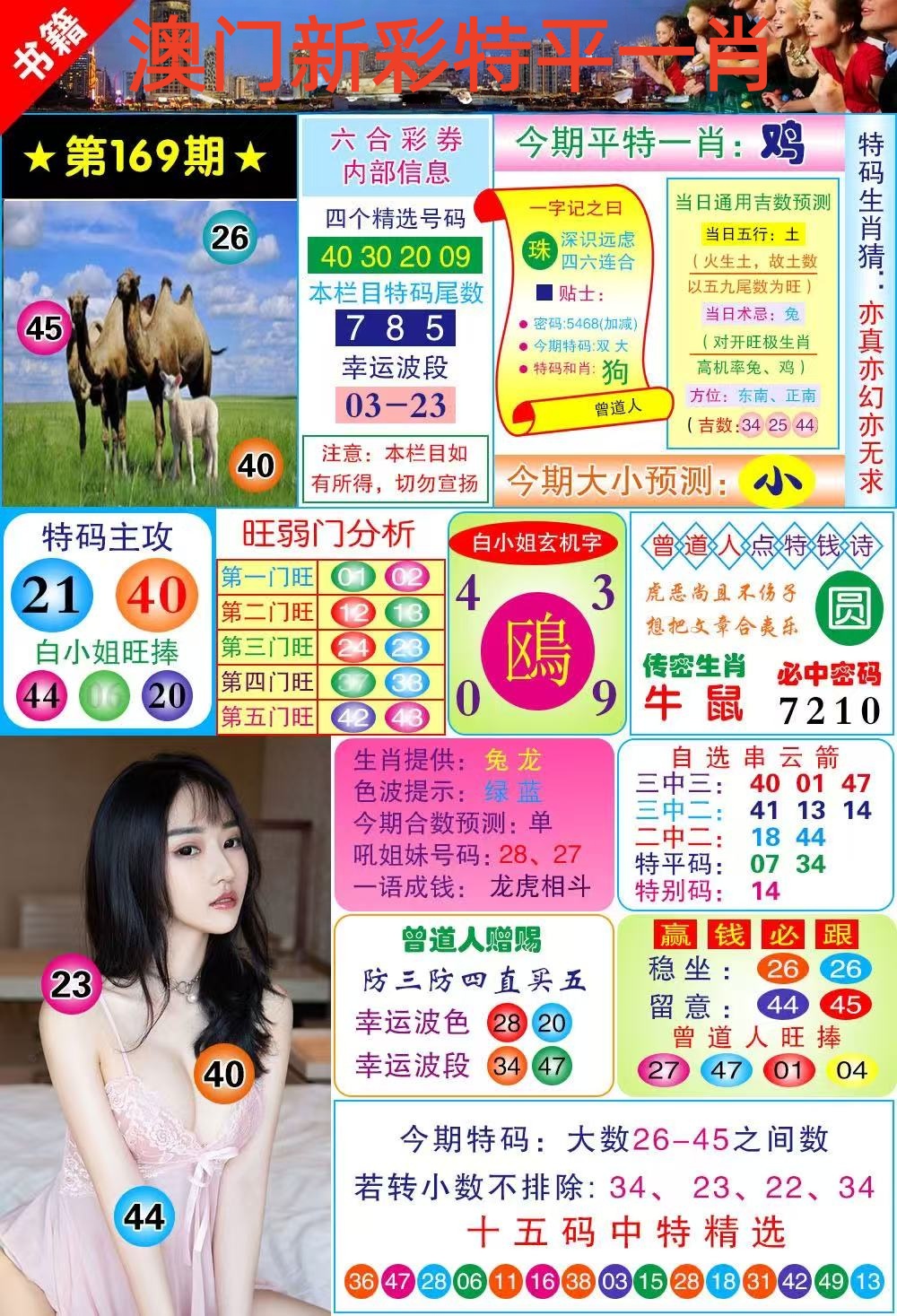 小龙女……